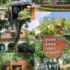 JIN YU NONG GU RU ZHU DIAN User Photo
