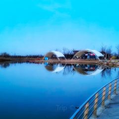 小鹿与湖健康生态餐厅 User Photo