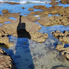 妃记酸粉 User Photo