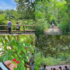 归来居 User Photo