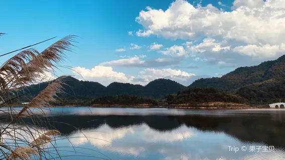 Fenghuanghu Sceneic Area