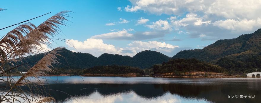 Fenghuanghu Sceneic Area