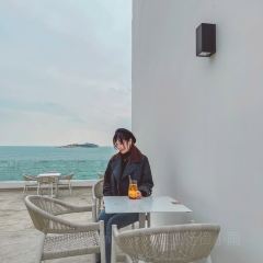 岛语plus User Photo