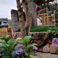 上座吃货街 User Photo