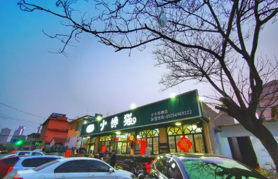 小饞貓主題串吧