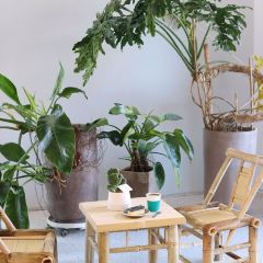 KB's Coffee House User Photo