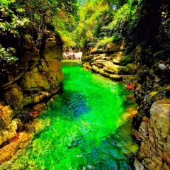 Shimentaixianglinongzhuang User Photo