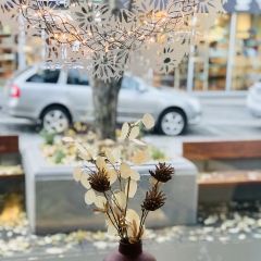 Bláa Kannan Cafe 여행 사진