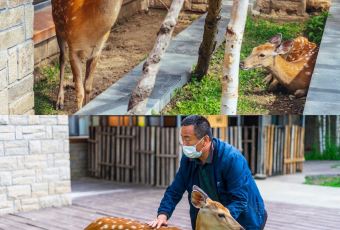 长白山吉视传媒铂尔曼度假酒店·大堂吧 User Photo