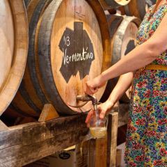 Hains & Co User Photo