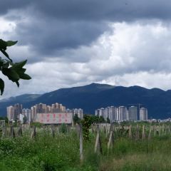 大将军私房菜 User Photo