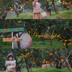 小馆·苔野 User Photo