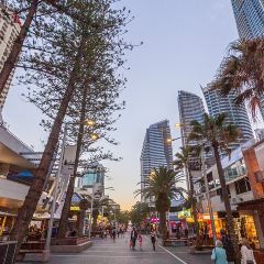 Moo Moo The Wine Bar + Grill User Photo