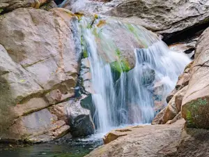 Jinlan Mountain Forest Park