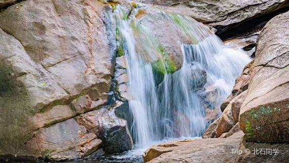 Jinlan Mountain Forest Park