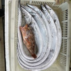 Yueximei'aoyucun User Photo