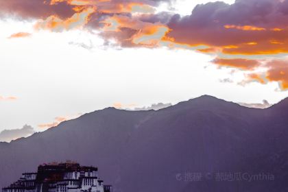 星月菩堤观景咖啡厅(布达拉宫观景店)
