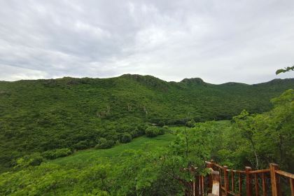 萨日娜阿妈蒙餐店