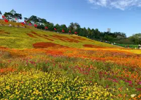 Manianzhuang Flower Sea