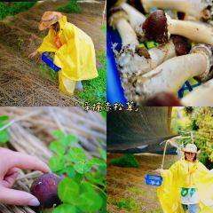 菌小妹庭院私廚張用戶圖片