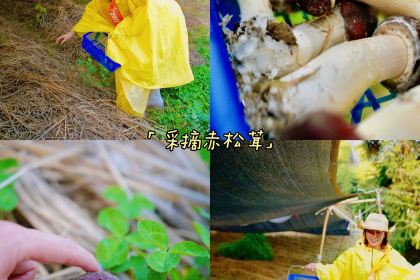 菌小妹庭院私廚