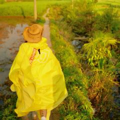 菌小妹庭院私廚張用戶圖片