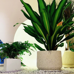 YOMIPOP有米泡泡咖啡空间(红坊店) User Photo