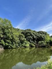 舜過山森林公園