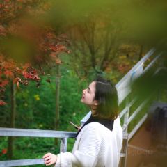 柒月麓山 여행 사진