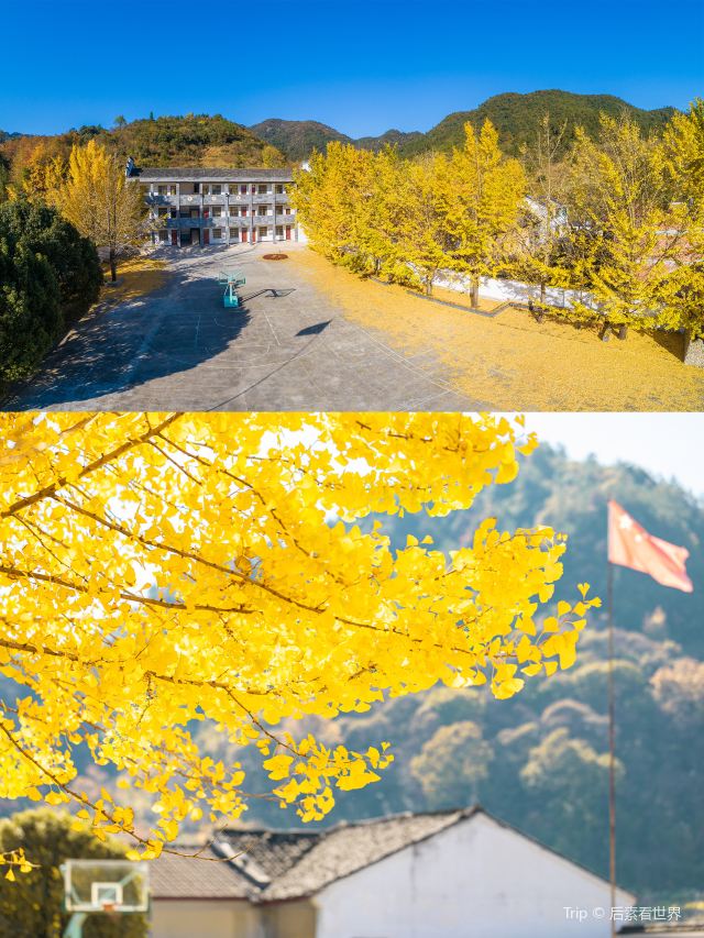 신광촌