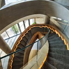 Runaway Cow Canton 8 User Photo