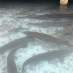 DAN SHI LAO YU ZHUANG 여행 사진