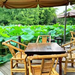 Xue Tao · In the Yard User Photo