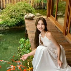 三宝村点心局(梨树园店) User Photo