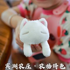 Binhunongzhuang User Photo
