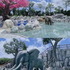 Wanhuagu Rose Manor User Photo
