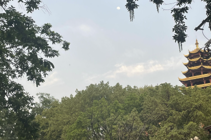 洋马儿火锅(磁器口店)