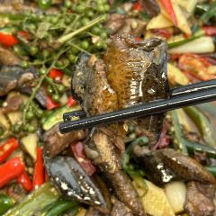 葱葱鲫鱼 User Photo