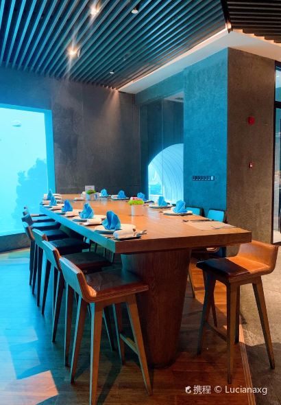 Aqua - Aquarium Restaurant