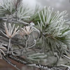 海东万枫酒店·自助餐厅 User Photo