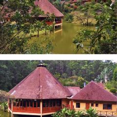 Vakona Forest Lodge User Photo