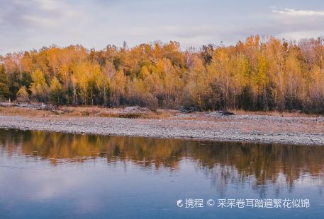 185團白沙湖邊境景區