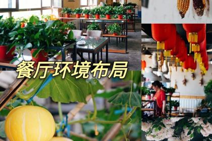 郭外人家柴火鸡(和平店)