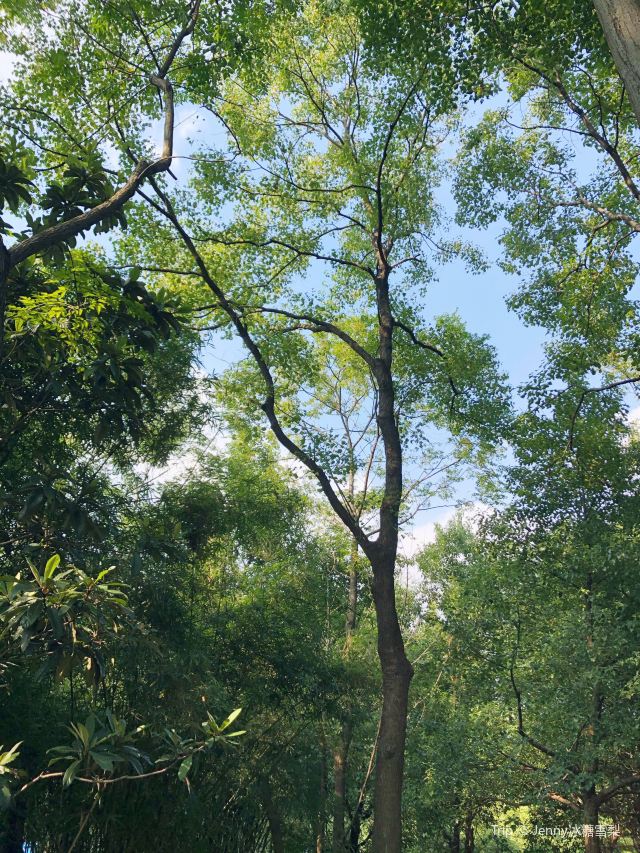 옌산 공원