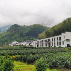 宋家河农庄 User Photo