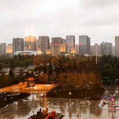 Wangshungeyutoupaobing (darongcheng) 여행 사진