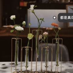花屿厨 User Photo