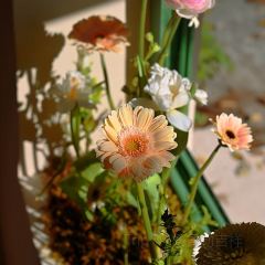 美雪食堂 User Photo