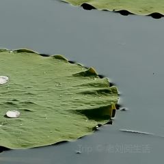 邻里印象 여행 사진