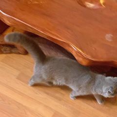 Epicerie·Caviste 62 lebec User Photo